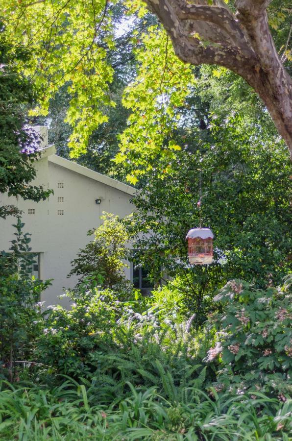 Garden Place Guest Houses Johannesburg Exteriér fotografie